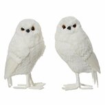 Decoratie Uil 14x13x25 cm Wit Assorti