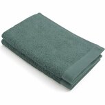 Walra Gastendoek 30x50 cm 2 Stuks Gerecycled Katoen/Donkergroen