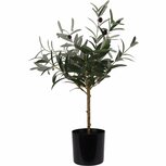 Kunstplant Olijfboom 45x66 cm Groen