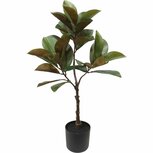 Kunstplant Magnolia 35x98 cm Groen