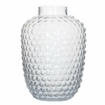 Glazen Bubbel Vaas 25x18 cm Transparant