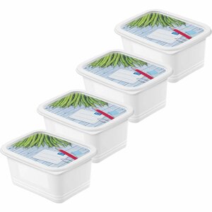 Rotho Domino Diepvriesdozen Etiket Decor 4x0.75L Wit
