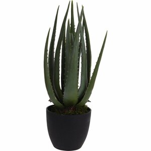 Kunstplant Aloë Vera 25x45 cm Groen