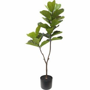 Kunstplant Ficus 60x155 cm Groen