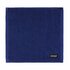 DDDDD Vaatdoeken 30x30 cm 4 Stuks Blauw/Katoen_