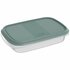Rotho ELEMENTS Koelkast Bewaardoos 24x16x5 cm 1L Mistletoe Groen/Transparant_