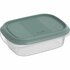 Rotho ELEMENTS Koelkast Bewaardoos 16x12x5 cm 0.5L Mistletoe Groen/Transparant_