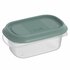 Rotho ELEMENTS Koelkast Bewaardoos 12x8x5 cm 0.2L Mistletoe Groen/Transparant_