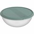 Rotho ELEMENTS Koelkast Bewaardoos Rond 0.4L Mistletoe Groen/Transparant_