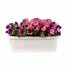 Bama Fioriera Bloem-Balkonbak 60x20x18.5 cm Wit_