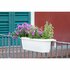 Bama Fioriera Bloem-Balkonbak 60x20x18.5 cm Wit_