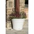Bama Tulipano Bloempot 5L 34.5x19x30 cm 4 Stuks Wit_