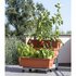 Bama Orto Di Kit Plantenbakken 80x74x73 cm Terracotta_