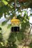 Windhager Wh-03103 Wespenval, Dubbele Verpakking_