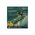 Lumineo LED Excellent Twinkle 1272 LEDs 20 cm Zwart Warm Wit Licht_