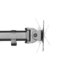 Newstar NM-D135BLACK Flatscreen Bureausteun Zwart_