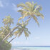 Sigel SI-HO470 Bureauonderleggers 59,4x41cm 30 Vel Beach_
