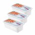 Rotho Domino Diepvriesdozen Etiket Decor 3x1.2L Wit_