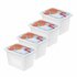 Rotho Domino Diepvriesdozen Etiket Decor 4x1L Wit_