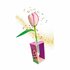 Clementoni Idea Geurende Bloemen Maken Tulpen_