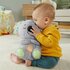 Fisher Price Soothe and Snuggle Knuffel Koala + Licht en Geluid_
