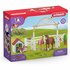 Schleich Horse Club Hannah's Gastpaarden met Hond en Accessoires_