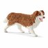 Schleich Horse Club Hannah's Gastpaarden met Hond en Accessoires_