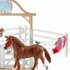 Schleich Horse Club Hannah's Gastpaarden met Hond en Accessoires_