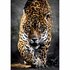 Clementoni High Quality Collection Puzzel Jaguar 1000 Stukjes + Poster_