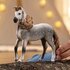 Schleich Horse Club Andalusische Hengst_