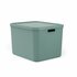 Rotho Albula Multibox 55L Mistletoe Groen_