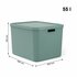 Rotho Albula Multibox 55L Mistletoe Groen_