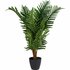 Kunstplant Palm 50x85 cm Groen_